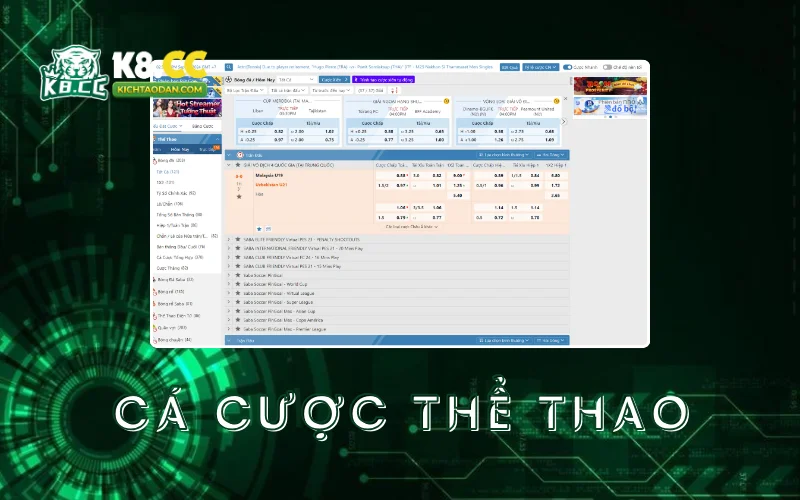 ca-cuoc-the-thao-tai-k8cc