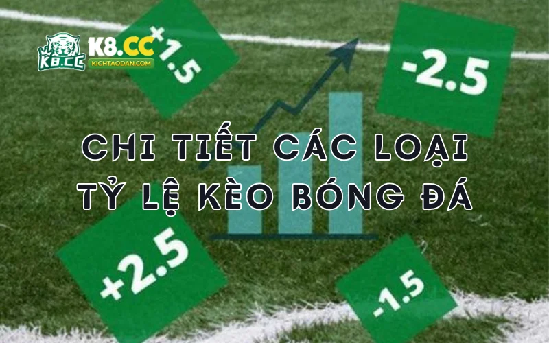 Chi tiết các loại tỷ lệ kèo bóng đá